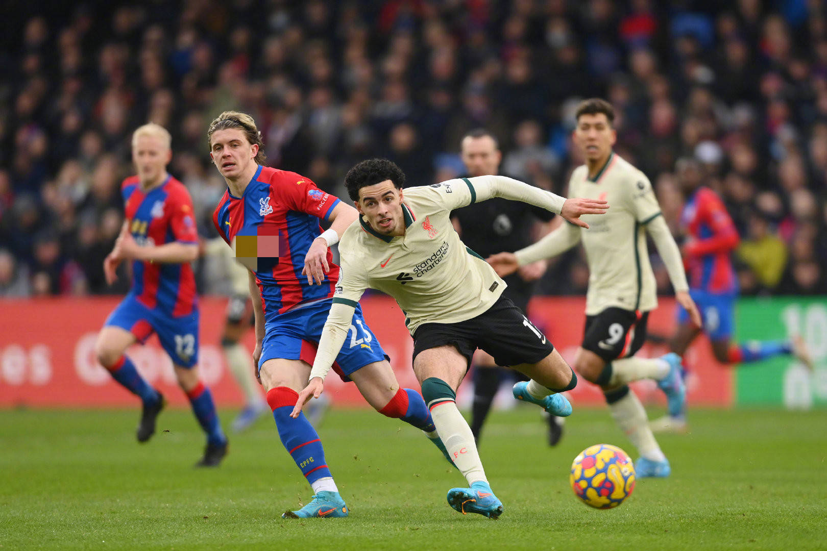 的交易會遭 的交易會遭